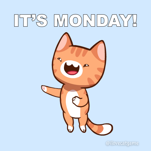 Welcome To Monday Animated Cat GIF