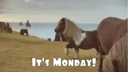 Welcome To Monday Its Monday Horse GIF