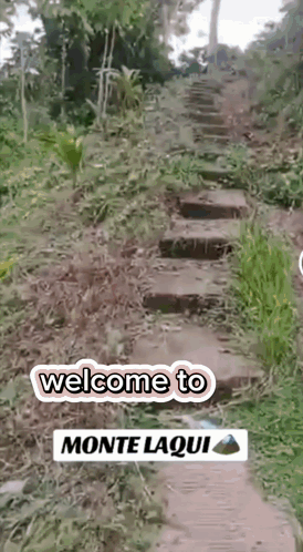 Welcome to Monte Laqui Sign