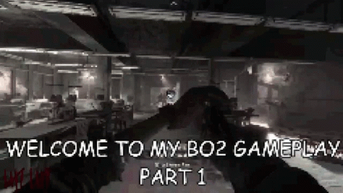 Welcome to My BO2 Gameplay Part 1