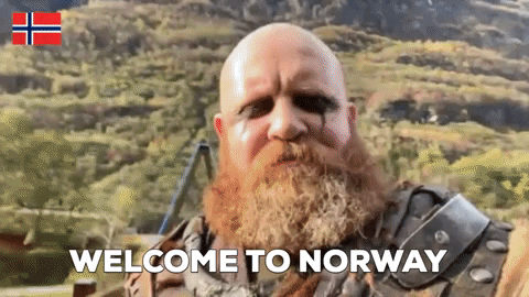 Welcome To Norway Viking GIF