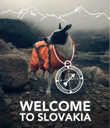 Welcome To Slovakia Surinka Dog GIF