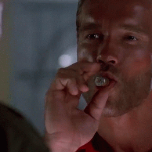 Arnold Schwarzenegger Welcome To The Party Pal GIF