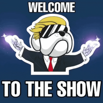 Welcome To The Show Sparkling Dog GIF