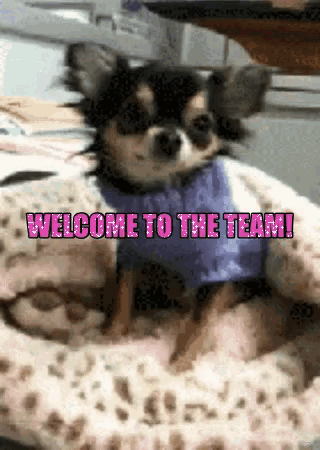 Welcome To The Team Small Dog GIF