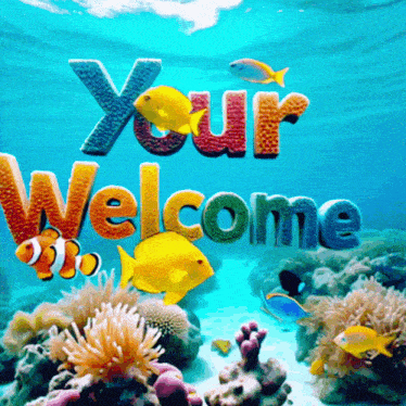 Welcome Your Welcome Gif GIF