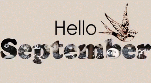 Welcoming September With Bird GIF