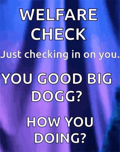 Welfare Check You Good Big Dogg