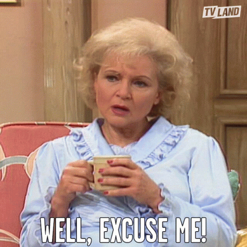 Well Excuse Me Rose Nylund GIF