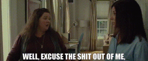 Well Excuse Me Sandra Bullock And Melissa Mccarthy GIF