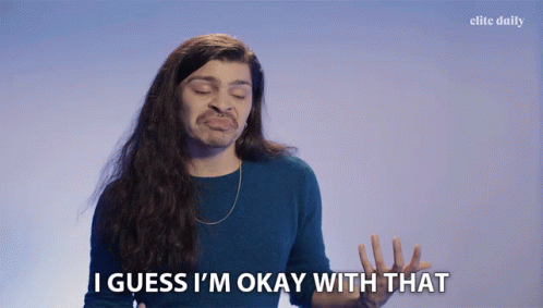 Well I Guess I'm Ok With It GIF