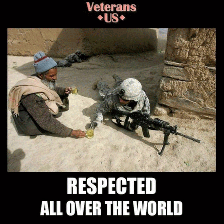 Well Respected American Veteran War Soldier GIF