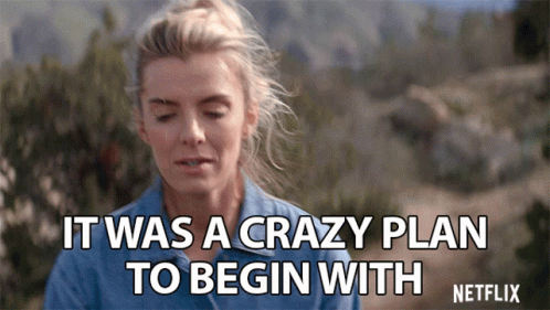 Well There It Is A Crazy Plan GIF