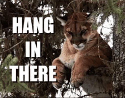 Well There It Is Tiger Hang In There GIF