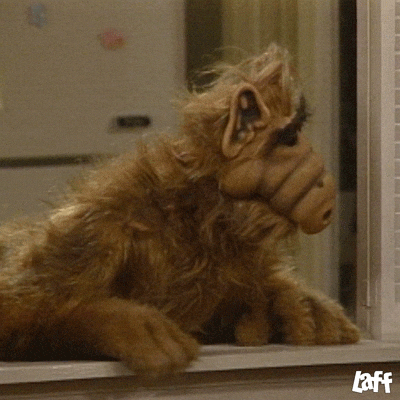 Well We're Waiting Alf Alien Creature GIF