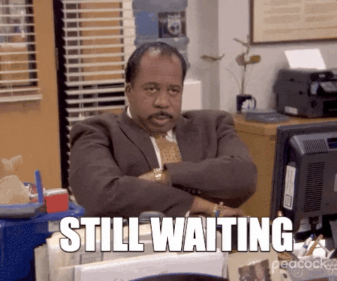Well We're Waiting Stanley Hudson The Office GIF