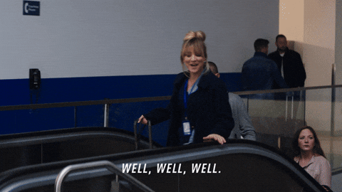 Well Well Well Hello Gorgeous Fight Attendant GIF