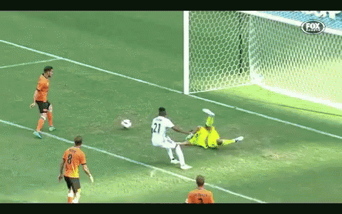 Wellington Phoenix Goal Wellington Phoenix GIF
