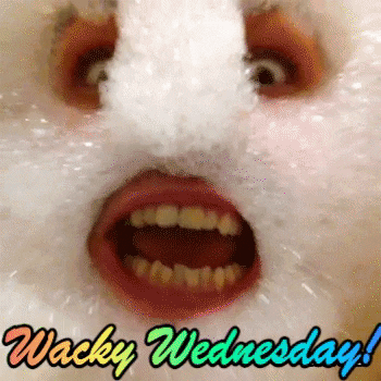 Wellness Wednesday Bubble Face GIF