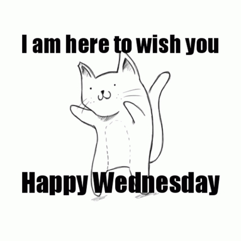 Wellness Wednesday Dancing Cat GIF
