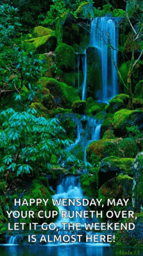 Wellness Wednesday Wisdom GIF