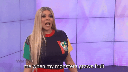 Wendy Williams Is Talking About When Her Monstera Grows Fruit GIF