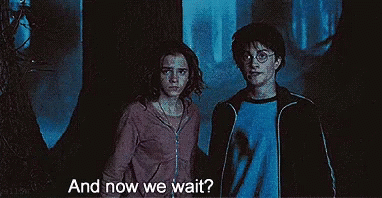 Were Waiting Harry Potter And Hermione Granger GIF