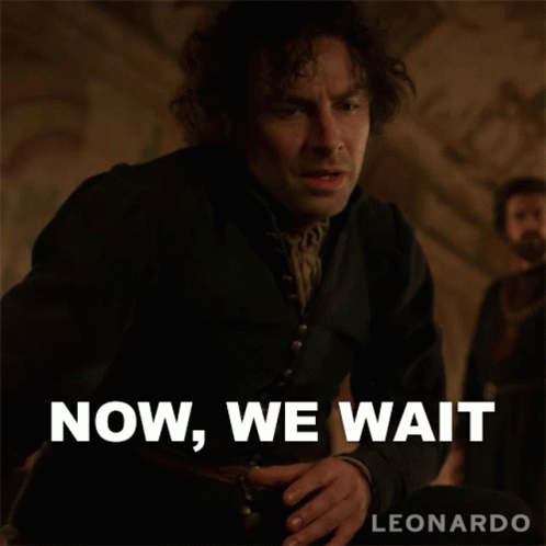 Were Waiting Leonardo Da Vinci GIF