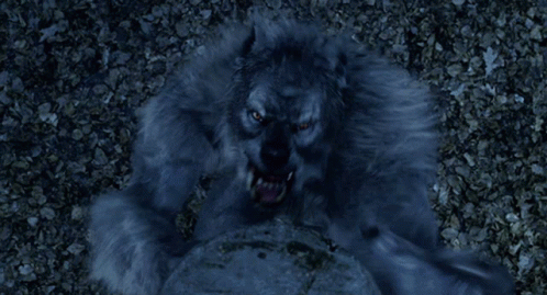 Werewolf Attacking Underworld Rise Of The Lycans GIF