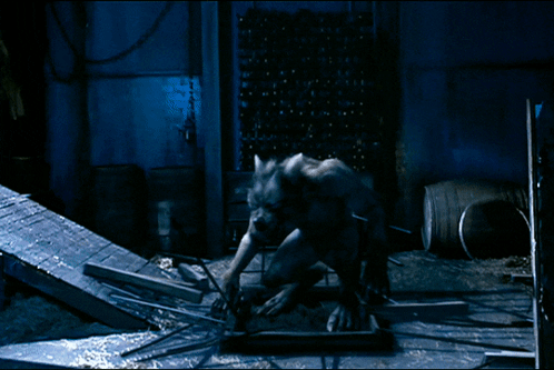Werewolf Howling At Full Moon GIF