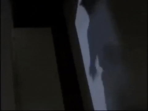 Werewolf Jumping Night Shadow GIF