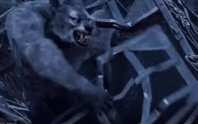 Werewolf Rampage Classic Movie GIF