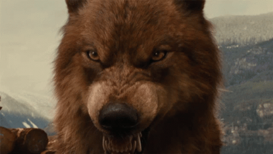 Werewolf Scary Fangs Twilight GIF
