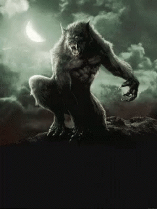 Werewolf Silhouette Burning Sky GIF