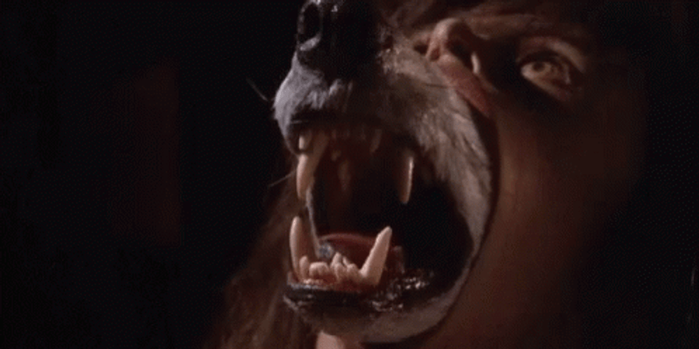 Werewolf Transformation Roar Rawr Growl Moon GIF