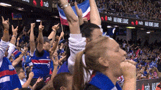 Western Carolina Fan Enjoying The Match GIF