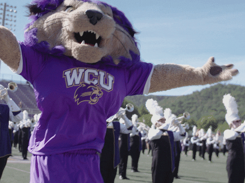 Western Carolina Mascot Dancing GIF