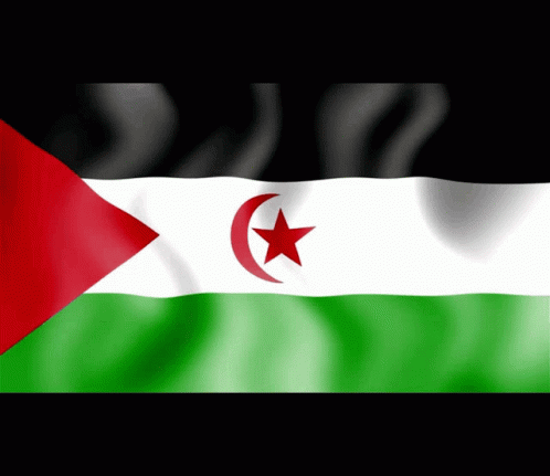 Western Sahara Flag Designs GIF