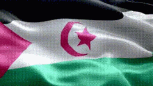 Western Sahara Flag Waving GIF