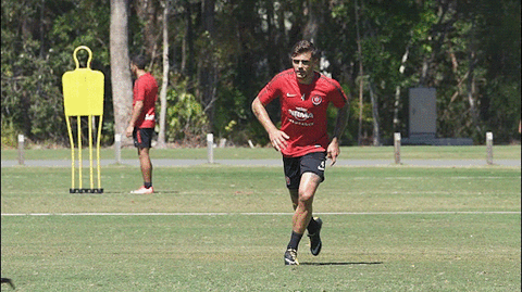 Western Sydney Wanderers Train Pass GIF