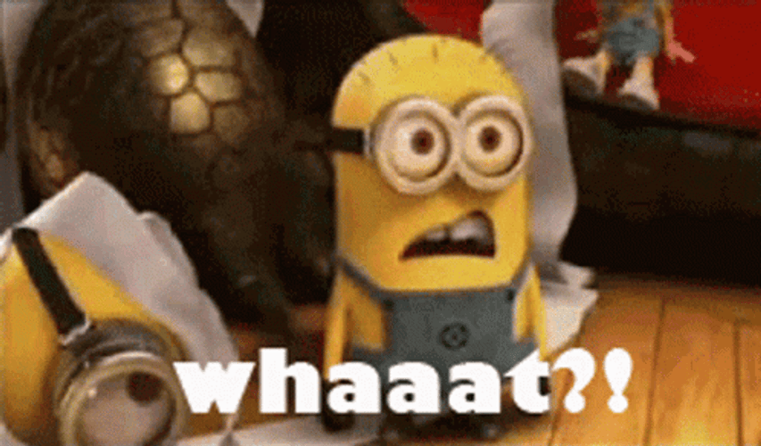 Whaaat Dazed Minion Confused Reaction GIF