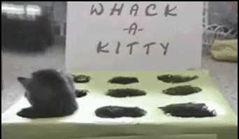 Whack A Mole Cute Kittens GIF