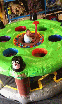Whack A Mole Human Version GIF