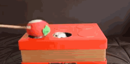 Whack A Mole With Cute Kittens GIF