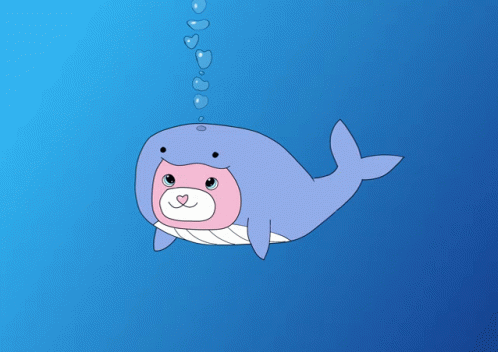 Whale Beluga Cat GIF