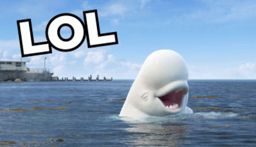 Whale in Ocean LOL
