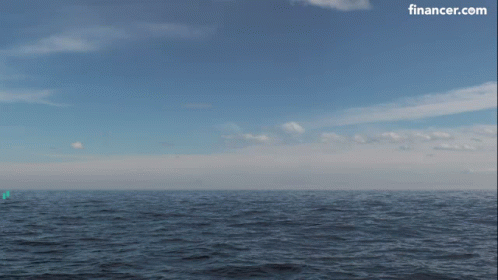 Whale In Ocean With Financer.com Logo GIF