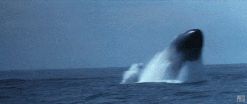 Whale Jumping Out Of Water PMX GIF