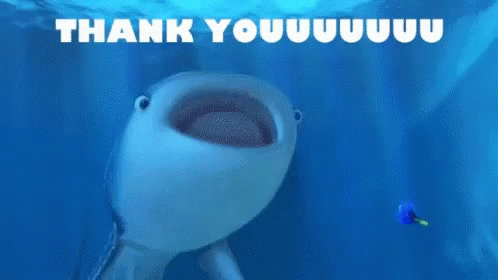 Whale Shark Swimming With Mouth Open Saying Thank You GIF