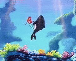 Whale Swimming In Ocean With Fish GIF